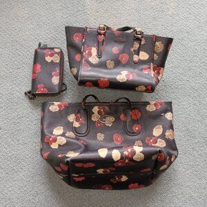 Coach Tote, purse, wallet bundle